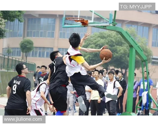 探索yjl篮球明星的成长之路与辉煌成就带你走进篮球的精彩世界